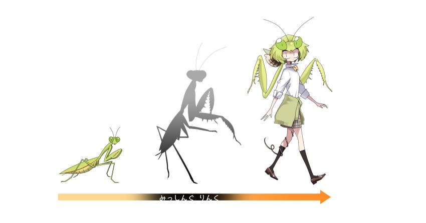 1girl antennae arrow_(symbol) black_legwear cardigan cardigan_around_waist clothes_around_waist evolution evolvingmonkey green_hair highres insect_girl kneehighs mantis_akiyama mantis_girl original parasite praying_mantis school_uniform translated walking white_background worms