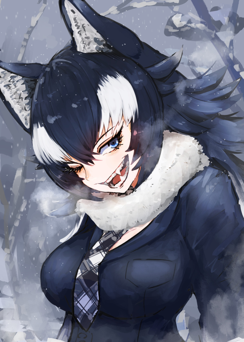 1girl adeshi_(adeshi0693119) animal_ears arms_at_sides bangs black_hair blue_eyes breast_pocket breasts breath day eyelashes fangs fur_collar grey_wolf_(kemono_friends) hair_between_eyes highres jacket kemono_friends large_breasts long_hair long_sleeves looking_at_viewer multicolored_hair necktie one_eye_closed open_mouth outdoors plaid_neckwear pocket smile snow solo teeth two-tone_hair upper_body white_hair wolf_ears wolf_girl