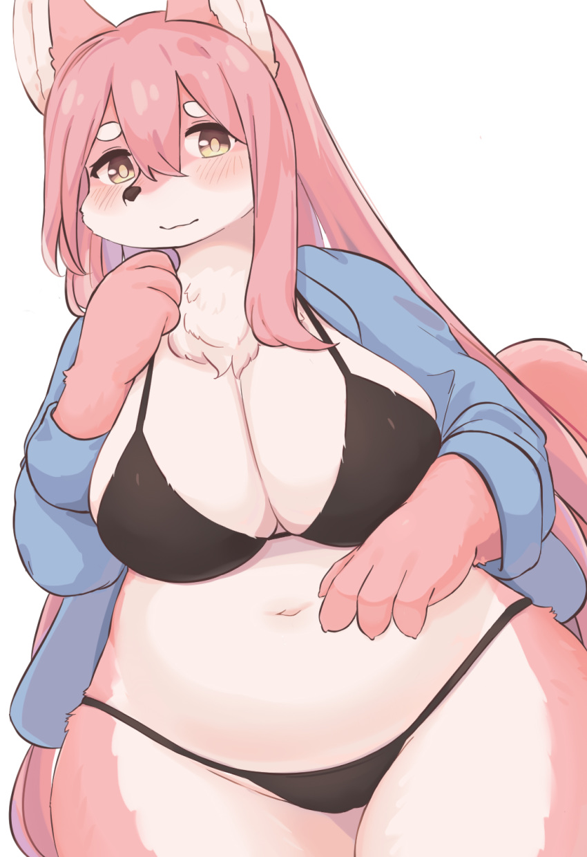 2020 4_fingers anthro belly big_breasts black_bra black_clothing black_nose black_panties black_underwear blue_clothing blue_shirt blue_topwear blush bra breasts brown_eyes canid canine chest_tuft claws cleavage clothed clothing curvy_figure eigetsu eyebrows female fingers fox fur hair hi_res huge_breasts kemono long_hair looking_at_viewer mammal multicolored_body multicolored_fur navel panties pink_body pink_ears pink_fur pink_hair pink_tail portrait shirt simple_background slightly_chubby solo thick_thighs three-quarter_portrait topwear tuft underwear voluptuous white_background white_body white_fur