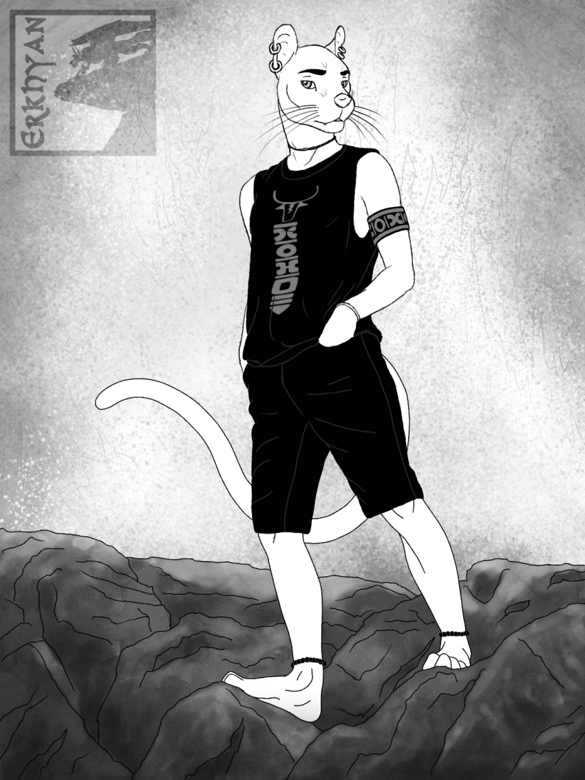 2019 4_toes anklet anthro armband barefoot bottomwear bracelet choker clothing ear_piercing ear_ring erkhyan euplerid fossa greyscale hi_res jewelry looking_at_viewer male mammal monochrome necklace onja_(erkhyan) piercing rock shirt shorts solo tank_top toes topwear whiskers