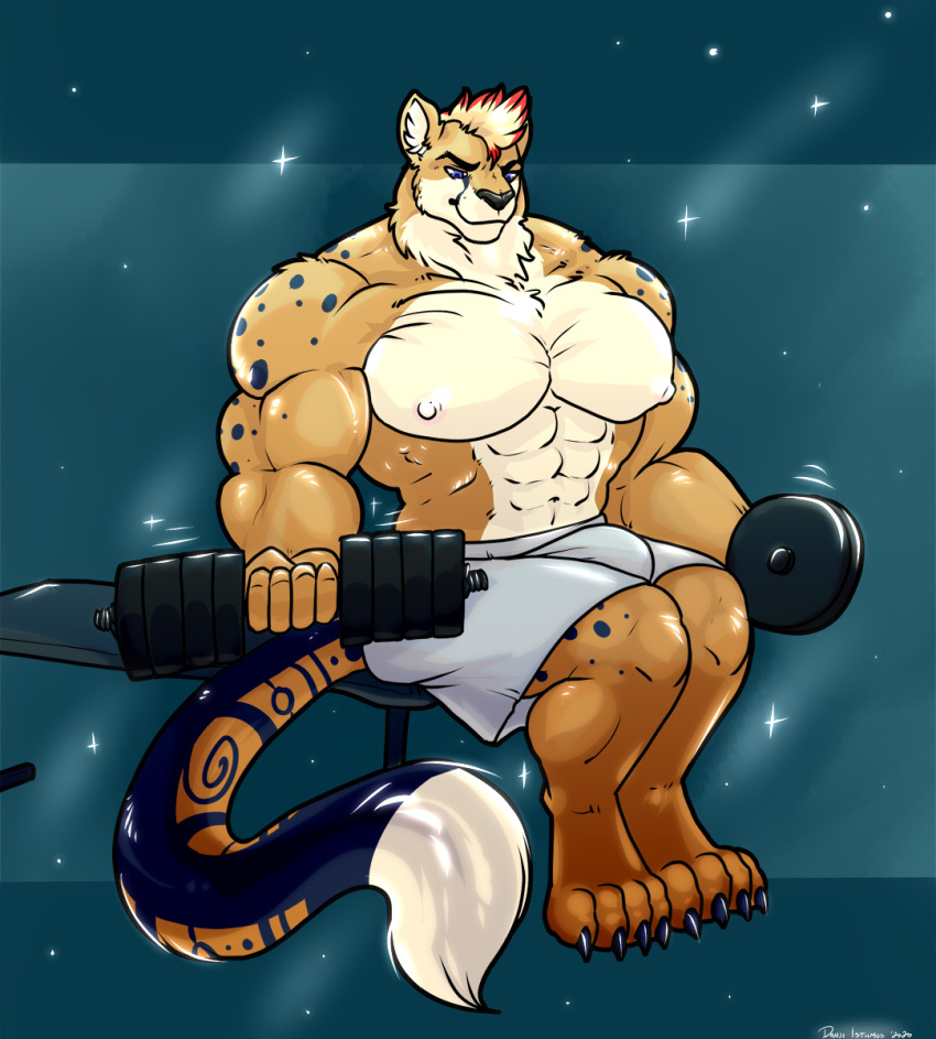 bulge canid canine cheetah curling danji-isthmus felid feline fox hi_res hybrid hyper mammal muscular tagme weights