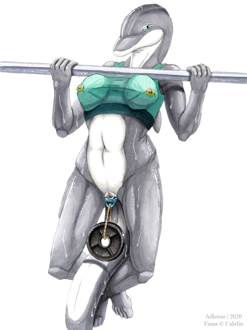 2020 adleisio anthro athletic athletic_anthro athletic_female blue_eyes bodily_fluids bottlenose_dolphin bottomless bottomless_female bra cetacean clothed clothing countershade_face countershade_torso countershading delphinoid english_text exercise exercise_clothing exercise_equipment female glistening grey_body hi_res kegel_weight looking_at_viewer mammal marine navel nipple_piercing nipple_ring nipples oceanic_dolphin penetration piercing pullups sex_toy_in_pussy signature simple_background solo sports_bra sweat text toothed_whale translucent translucent_clothing underwear vaginal vaginal_penetration weightlifting weights white_background white_body workout