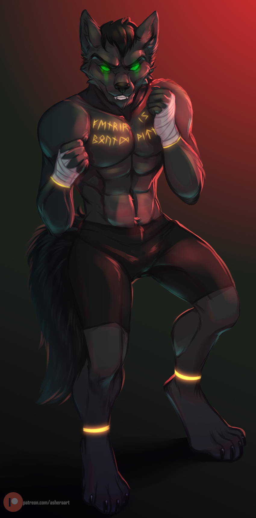 absurd_res anthro asheraart boxing canid canine canis fenrir_(disambiguation) fight hi_res male mammal solo sport wolf