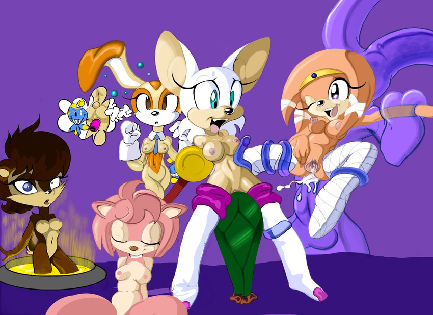 amy_rose archie_comics chao chaos cream_the_rabbit foo rouge_the_bat sally_acorn sonic_team tikal_the_echidna