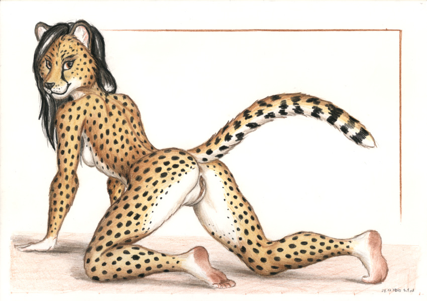 anthro black_hair breasts cheetah felid feline female fur genitals hair hi_res long_hair looking_at_viewer mammal nude pussy raised_tail solo spots spotted_body spotted_fur syntech