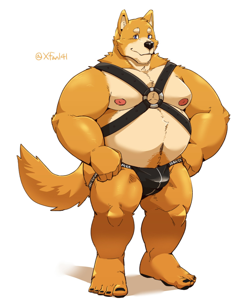 2021 absurd_res anthro belly black_nose brown_body brown_fur canid canine canis clothing domestic_dog fur hi_res jockstrap jumperbear kemono leather_daddy male mammal moobs nipples overweight overweight_anthro overweight_male simple_background solo underwear white_background