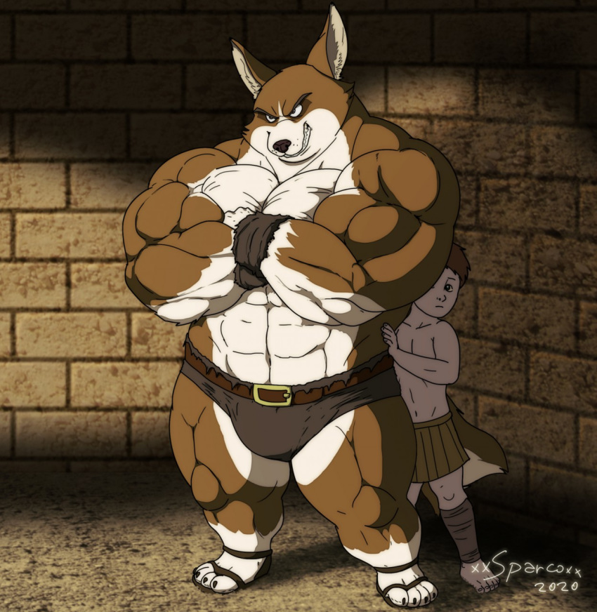 2020 abs angry animal_humanoid anthony_caligula anthro armor barefoot baring_teeth belt biceps big_muscles black_nose brown_body brown_fur brown_hair canid canid_humanoid canine canine_humanoid canis child clothed clothing countershade_face countershade_legs countershade_torso countershading crossed_arms damocles_(xxsparcoxx) defensive digital_media_(artwork) domestic_dog duo footwear fur growling hair herding_dog hi_res hiding_behind_another huge_muscles humanoid leather leather_armor leg_wraps male mammal mammal_humanoid muscular muscular_anthro muscular_male navel pastoral_dog pecs protective pteruges sandals standing story story_in_description teeth topless topless_male welsh_corgi wolf_humanoid wraps wrist_wraps xxsparcoxx young