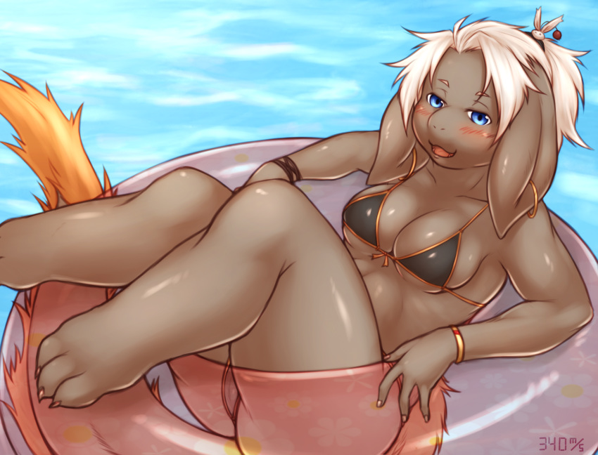 2020 340m/sec 3_toes 4_fingers anthro bikini blue_eyes blush bracelet breasts brown_body brown_fur camel_toe cleavage clothed clothing colored_nails ear_piercing ear_ring female final_fantasy final_fantasy_tactics fingers floppy_ears fur hair hi_res inner_tube jewelry long_ears looking_at_viewer lying nails nu_mou open_mouth open_smile piercing ponytail smile solo square_enix string_bikini swimwear tail_tuft toes tuft video_games water white_hair