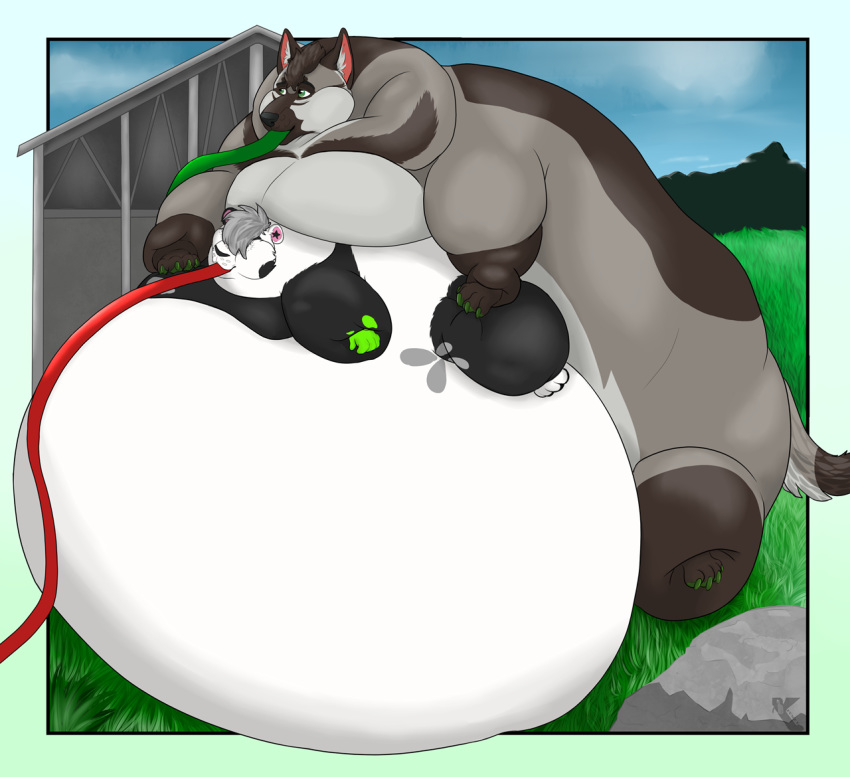 anthro canid canine canis duo hose hose_in_mouth hose_inflation immobile inflation male male/male mammal pumex weight_gain wolf