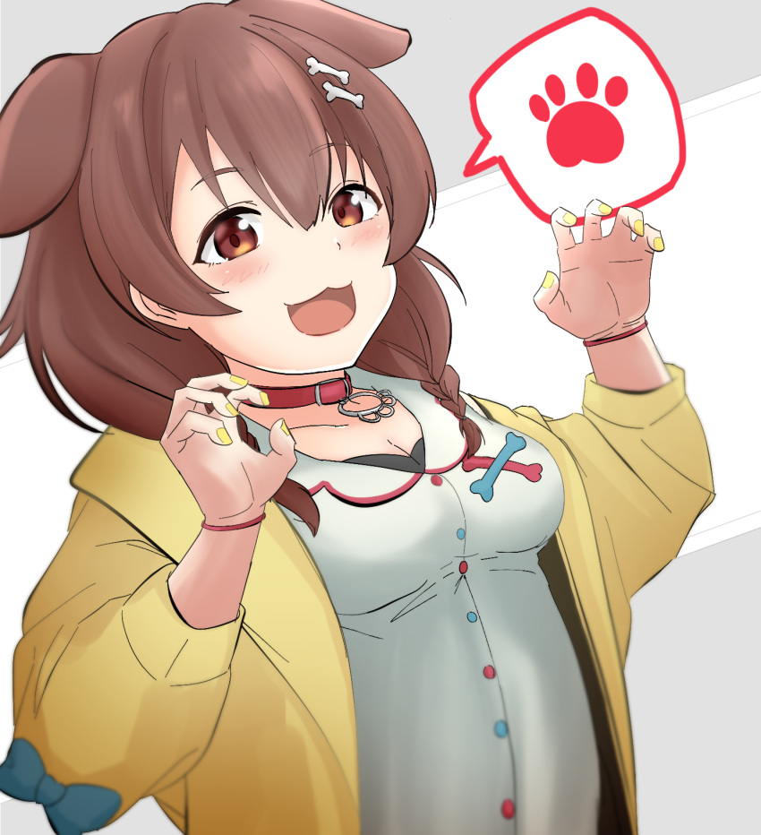 1girl :3 :d animal_ears blue_bow blush bone_hair_ornament bone_print bow braid breasts brown_eyes brown_hair buttons claw_pose cleavage collar collarbone commentary_request dog_ears dutch_angle extra_ears eyebrows_visible_through_hair floppy_ears grey_background hair_between_eyes hair_ornament hands_up highres hololive inugami_korone jacket long_hair looking_at_viewer low_twintails medium_breasts nail_polish open_mouth red_collar sankon_(choko-noki) shirt simple_background smile solo spoken_paw twin_braids twintails two-tone_background upper_body virtual_youtuber white_shirt yellow_jacket yellow_nails