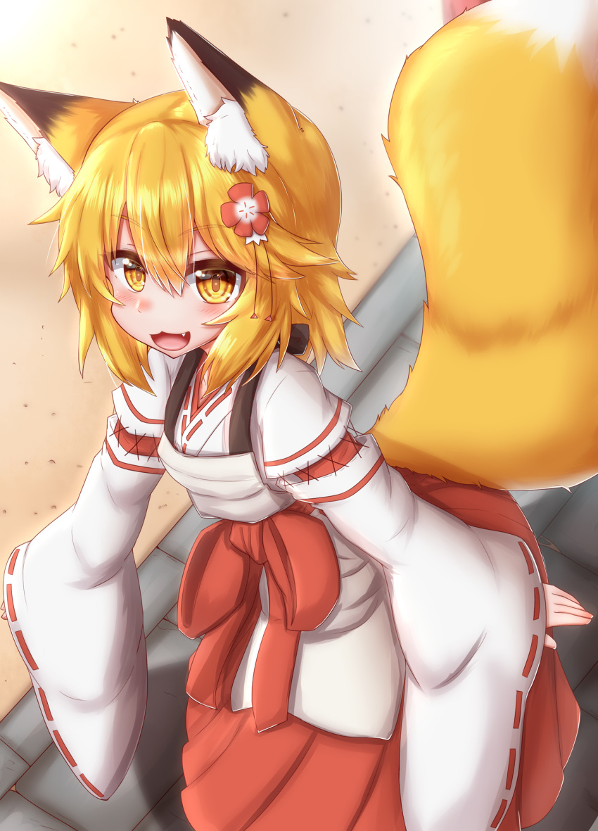 animal_ears horokusa kitsune miko senko-san sewayaki_kitsune_no_senko-san tail