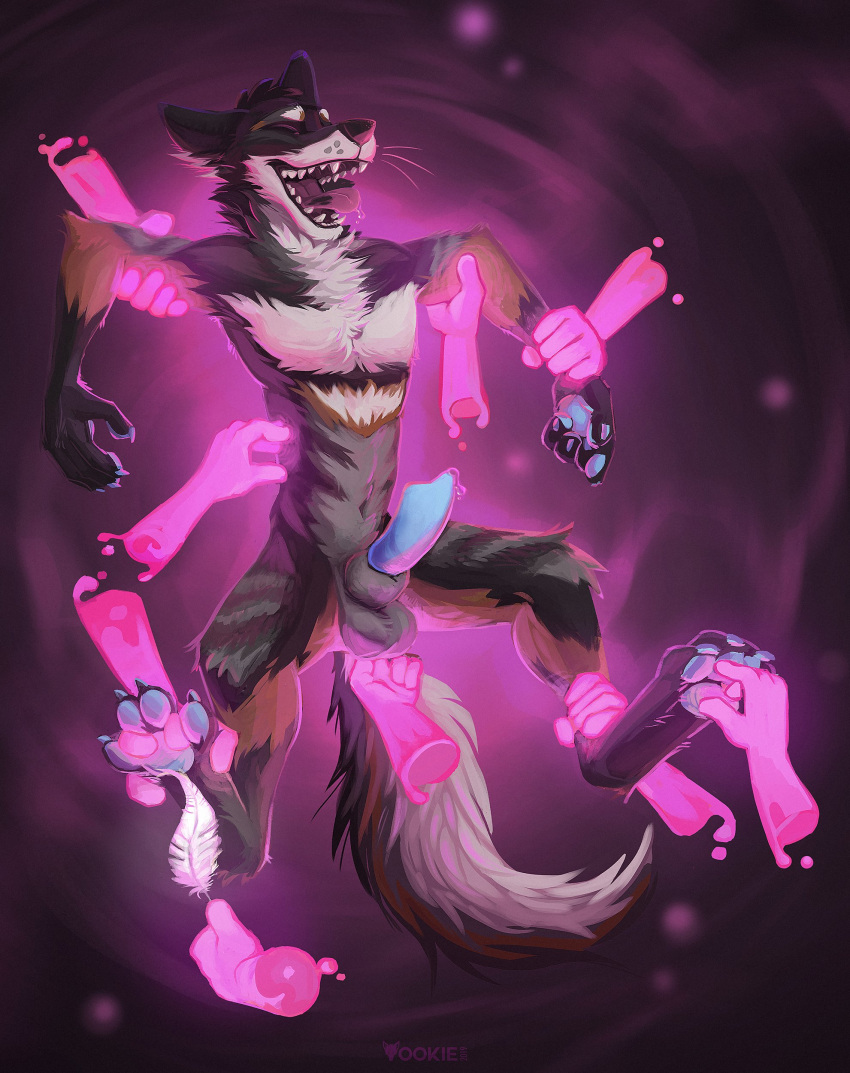 4_toes 5_fingers abstract_background absurd_res ambiguous_gender animal_genitalia animal_penis ankle_grab anthro arm_grab balls between_toes black_balls black_body black_fur blue_pawpads blue_penis bodily_fluids brown_body brown_fur caim_(chu-tora) canid canine canine_penis canis chest_tuft digitigrade disembodied_hand domestic_dog drooling erection eyes_closed fangs feet fingers fluffy fluffy_tail foot_grab front_view fur genital_fluids genitals ghost_hands group hands_everywhere hi_res holding_feather laugh leg_grab looking_pleasured loose_feather male male/ambiguous male_focus mammal navel neck_tuft nude open_mouth pawpads paws pecs penis pink_background precum restrained saliva sheath shikoku_ken simple_background slim solo_focus spitz spread_legs spreading teeth tickle_fetish tickling tickling_balls tickling_feet tickling_torso toes tongue tongue_out tuft whiskers white_body white_fur yookie