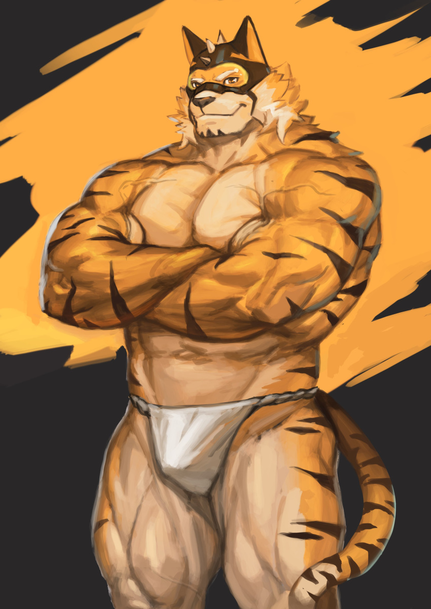 abs absurd_res anthro asian_clothing biceps bulge clothing east_asian_clothing felid fundoshi fur hi_res japanese_clothing live-a-hero male mammal mask muscular muscular_anthro muscular_male pantherine pecs ryekie_(live-a-hero) solo striped_body striped_fur stripes superhero tiger traver009 underwear veiny_muscles