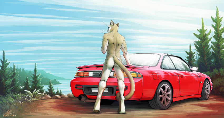 anthro car cougar day detailed_background felid feline fur grass hi_res male mammal neotheta nude outside plant sky solo tan_body tan_fur vehicle water