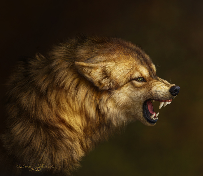 2020 ambiguous_gender brown_body brown_fur canid canine canis detailed detailed_fur elena_roslyakova feral fur hi_res mammal open_mouth signature simple_background snarling solo tongue wolf