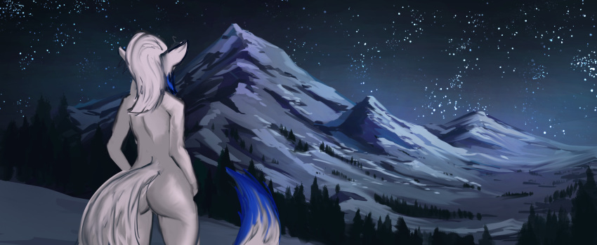 amber_puppy ambiguous_gender anthro blue_hair blue_tail canid canine canis detailed_background fur hair herm_(lore) hi_res mammal mountain night nude outside peyzazhik plant sky snow star starry_sky tree white_body white_ears white_fur white_hair white_tail wolf