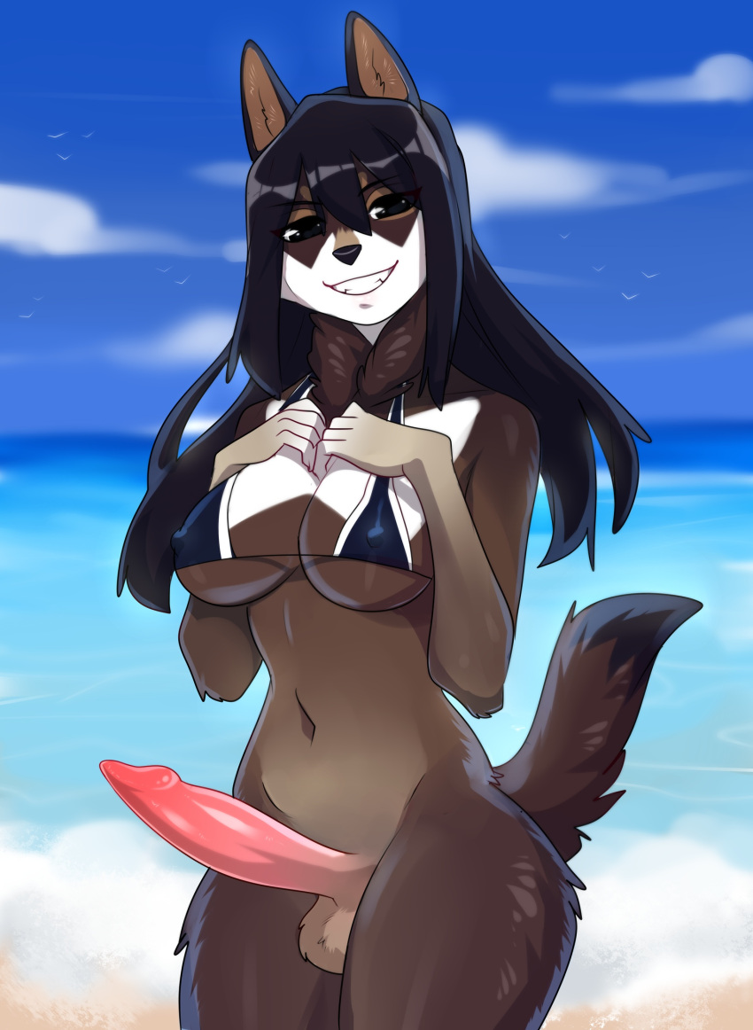 2018 anthro balls beach bikini bikini_top black_hair bottomless breasts canid canine canis cleavage clothed clothing crossgender detailed_background digital_media_(artwork) erection fur genitals gynomorph hair hi_res humanoid_genitalia humanoid_penis intersex long_hair looking_at_viewer mammal midriff mtg_crossgender mti_crossgender navel nipple_outline nipples outside penis sand seaside sky smile solo swimwear tai_(viskasunya) teeth thick_thighs topwear viskasunya water wide_hips wolf