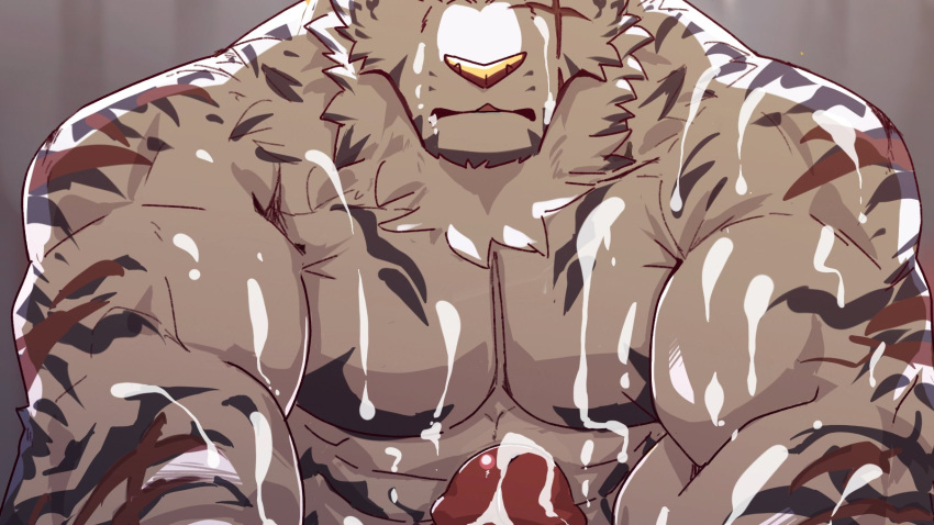 1boy abs arknights autofacial bara chest_hair close-up completely_nude cum cum_on_body cum_on_pectorals cum_on_self erection facial furry highres istani male_focus mountain_(arknights) muscular muscular_male nude pectoral_focus pectorals penis reward_available scar_on_arm solo tiger_boy tiger_stripes uncensored white_fur white_hair