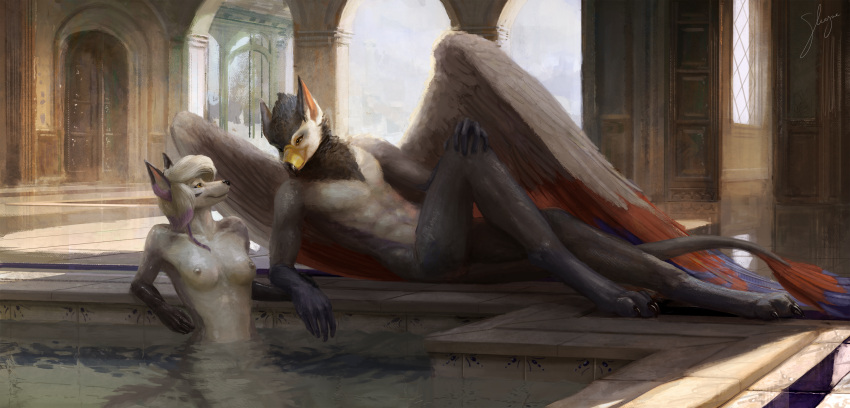 2020 absurd_res anthro areola avian bath bathhouse bathing beak biped black_hair black_nose blue_body blue_feathers breasts canid canine canis claws detailed_background digitigrade duo eye_contact feathered_wings feathers female fur gryphon hair hand_on_knee hand_on_leg hi_res holding_arm humanoid_hands looking_at_another lying male mammal mythological_avian mythology nipples nude on_back partially_submerged prick_ears red_body red_feathers signature sleryse swimming_pool water white_body white_fur white_hair wings wolf yellow_eyes