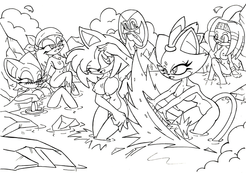 amy_rose blaze_the_cat cream_the_rabbit rouge_the_bat sonic_riders sonic_team the_brave tikal_the_echidna wave_the_swallow