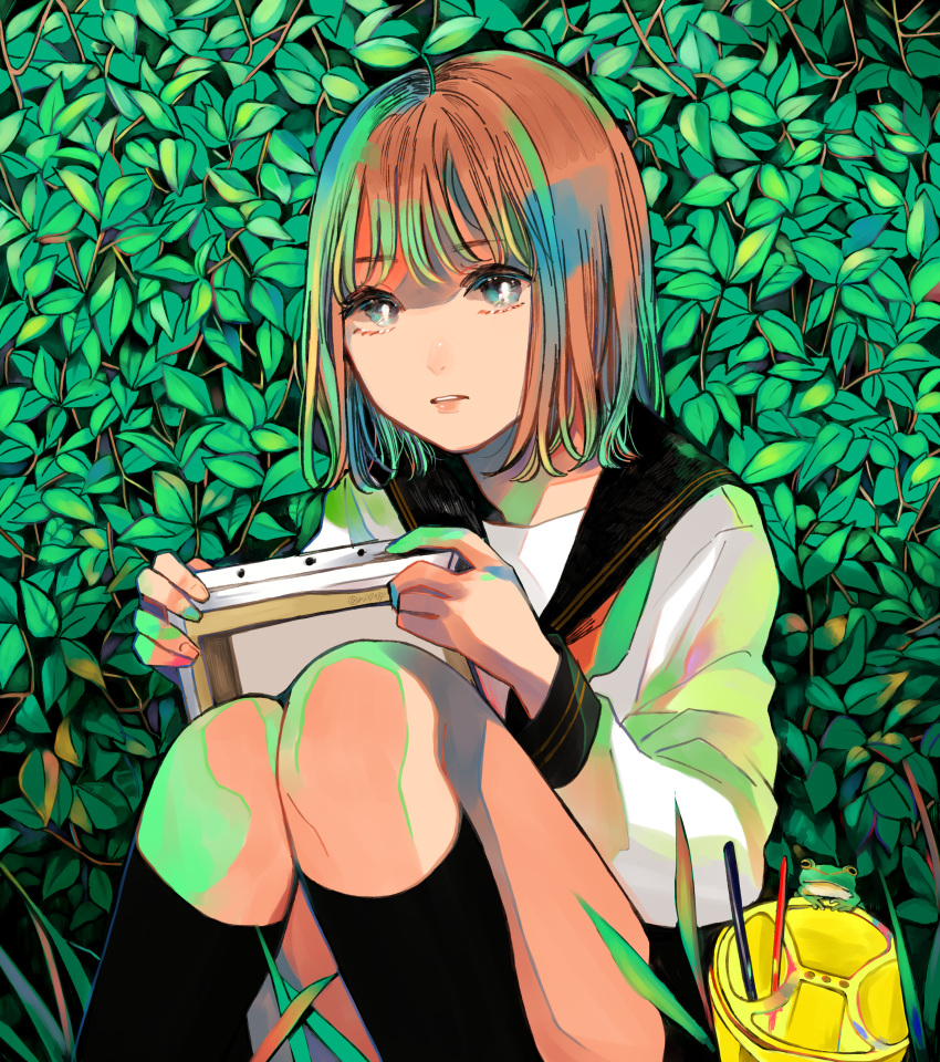 1girl absurdres bangs blue_eyes brown_hair bucket frog hedge_(plant) highres kneehighs knees_up looking_at_viewer medium_hair original outdoors paintbrush richard_(ri39p) school_uniform serafuku sitting solo