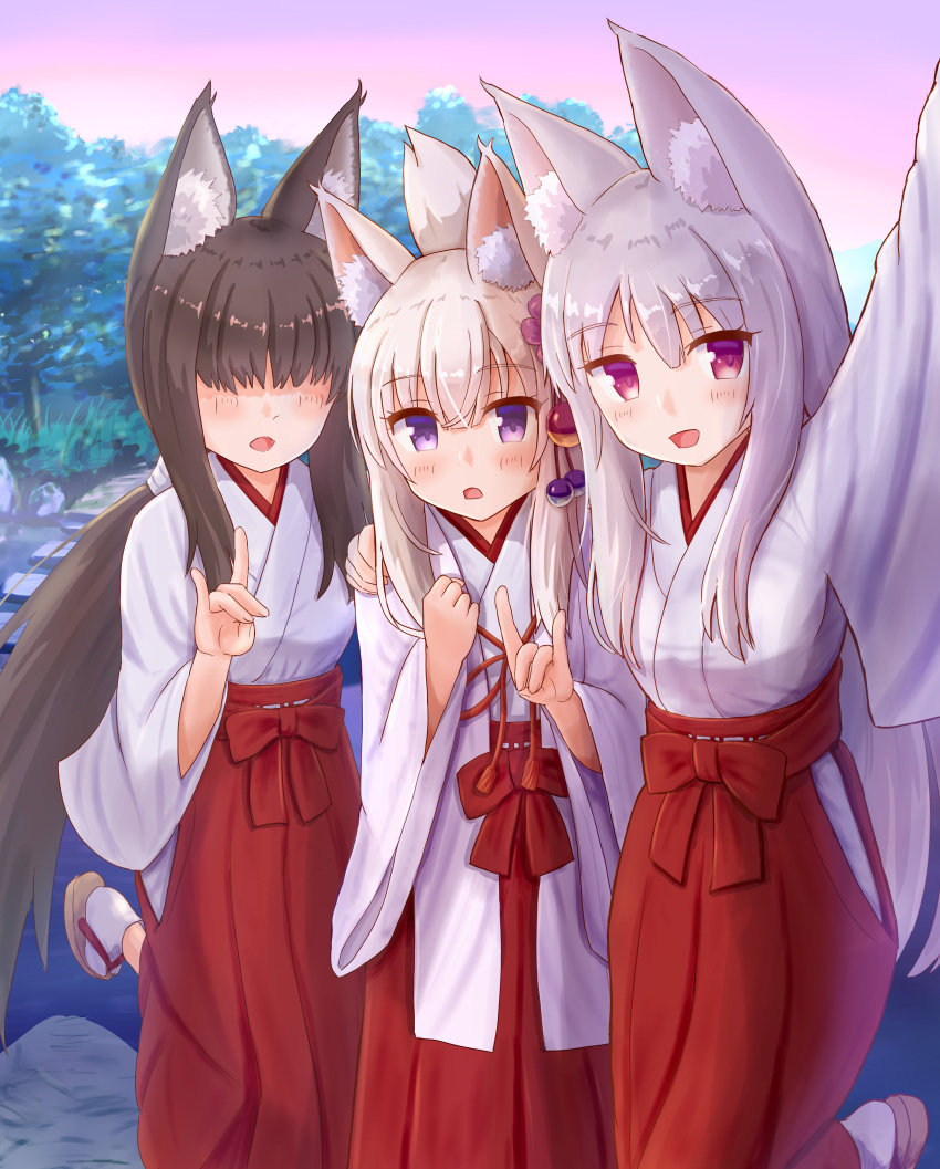 3girls :d absurdres animal_ear_fluff animal_ears arm_up bangs black_hair blush borrowed_character breasts brown_footwear commentary_request eyebrows_visible_through_hair flower folded_ponytail fox_ears fox_girl fox_shadow_puppet fox_tail girl_sandwich hair_between_eyes hair_flower hair_ornament hakama hand_on_another's_shoulder highres iroha_(iroha_matsurika) japanese_clothes kimono long_hair long_sleeves low_ponytail miko multiple_girls open_mouth original ponytail purple_eyes purple_flower red_eyes red_hakama sandwiched self_shot silver_hair small_breasts smile socks standing standing_on_one_leg tabi tail very_long_hair white_kimono white_legwear wide_sleeves zouri