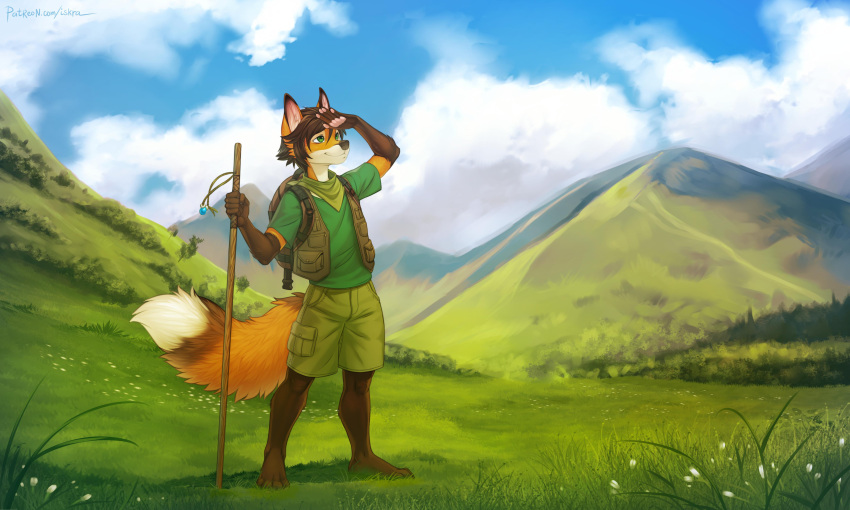 5:3 absurd_res anthro bottomwear brown_clothing brown_footwear brown_hair brown_socks canid canine clothing duster_(character) footwear fox fur grass green_eyes hair hi_res hiking iskra male mammal mountain orange_body orange_fur plant shorts sky socks solo topwear vest