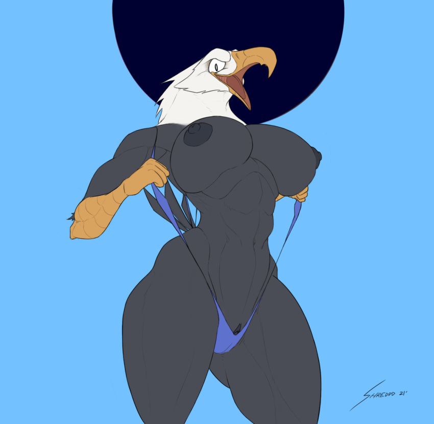 2021 abs accipitrid accipitriform anthro avian bald_eagle beak biceps big_breasts big_nipples bikini bird black_body blue_clothing blue_swimwear breasts camel_toe clitoral_hood clitoris clothed clothing deltoids eagle exposed_breasts feathers female genitals hi_res muscular muscular_anthro muscular_female naughty_face navel nipples non-mammal_breasts pose puffy_nipples pussy sea_eagle shredded_wheat signature simple_background skimpy sling_bikini smile solo swimwear tail_feathers thick_thighs tongue wide_hips