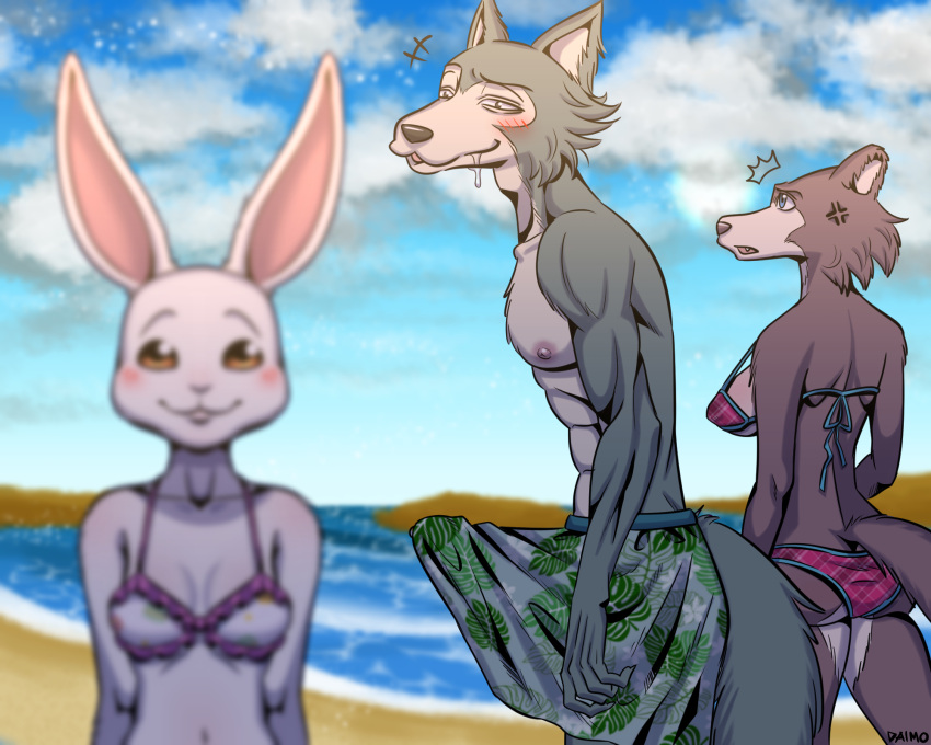 2021 5:4 abs annoyed anthro athletic athletic_anthro athletic_male beach beastars big_bulge bikini black_nose blurred_foreground blush bodily_fluids breasts bulge butt canid canine canis clothed clothing countershade_face countershade_legs countershade_torso countershading cross-popping_vein daimo distracted_boyfriend domestic_rabbit drooling dwarf_rabbit erection erection_under_clothing female fur grey_body grey_countershading grey_fur group haru_(beastars) hi_res juno_(beastars) lagomorph legoshi_(beastars) leporid looking_at_another looking_back male male/female mammal meme nipples open_mouth oryctolagus pecs rabbit saliva seaside side_boob smile swimming_trunks swimwear vein walking water white_body white_fur wolf