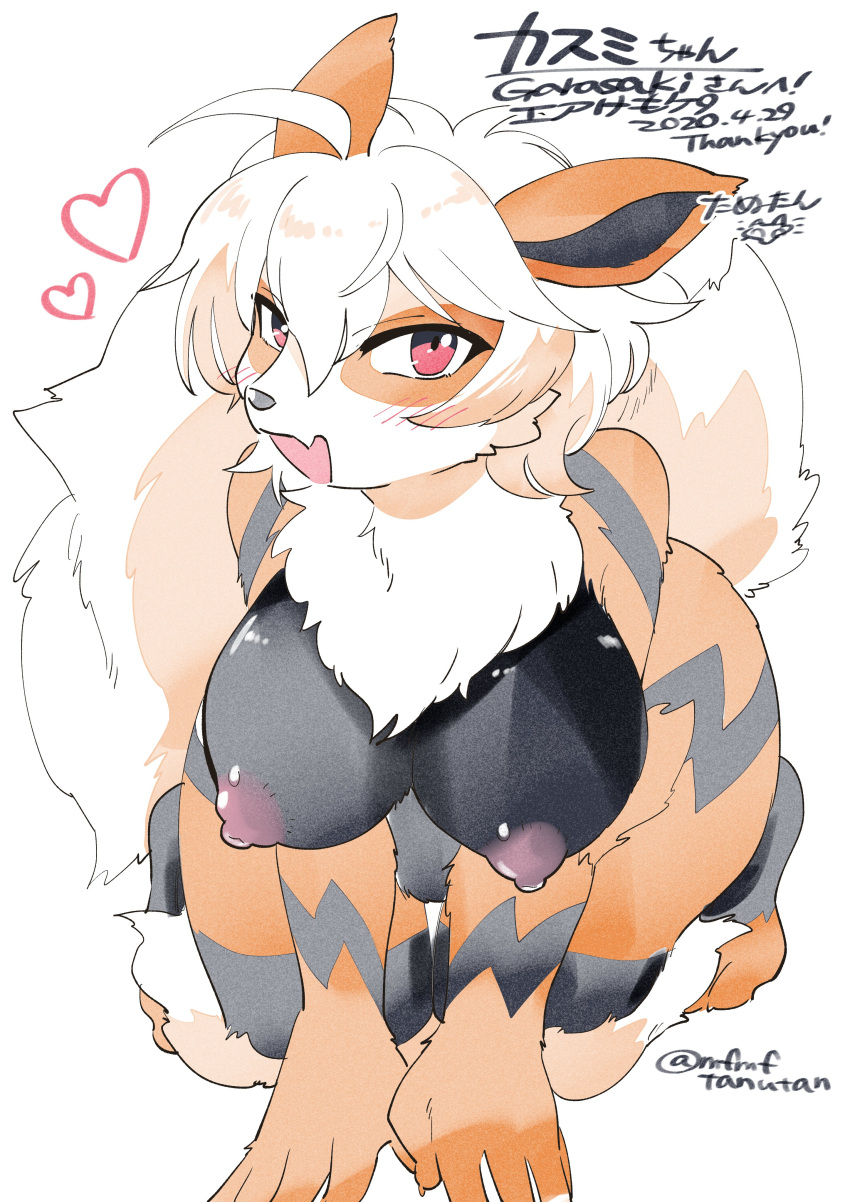 &lt;3 2020 absurd_res ahoge all_fours anthro anthrofied arcanine big_breasts black_body black_fur blush breasts canid canine chest_tuft english_text female fur hair hanging_breasts hi_res japanese_text kemono looking_at_viewer mammal nintendo nipples nude open_mouth orange_body orange_fur painting_(artwork) pok&eacute;mon pok&eacute;mon_(species) pok&eacute;morph red_eyes seductive simple_background smile solo striped_body striped_fur stripes tanu-tan text traditional_media_(artwork) tuft video_games watercolor_(artwork) white_background white_body white_fur white_hair wide_hips