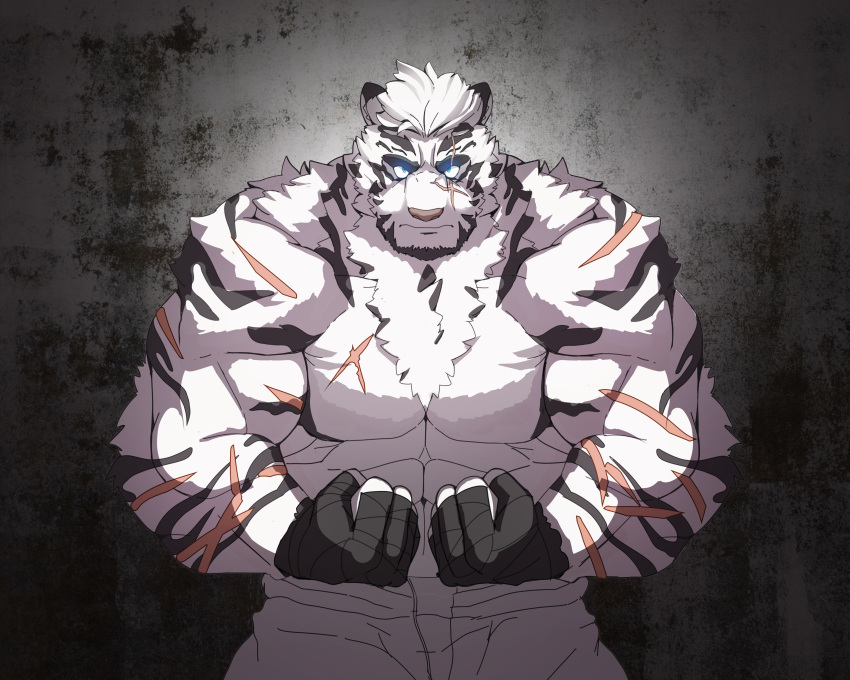1boy abs absurdres animal_ears arknights bandages bara biceps black_gloves cowboy_shot fingerless_gloves flexing furry gloves glowing glowing_eyes highres male_focus mountain_(arknights) muscular muscular_male no_nipples orpiam pants pectorals pose scar scar_across_eye scar_on_arm scar_on_cheek scar_on_chest scar_on_face shirtless short_hair solo tiger_boy tiger_ears tiger_stripes white_fur white_pants