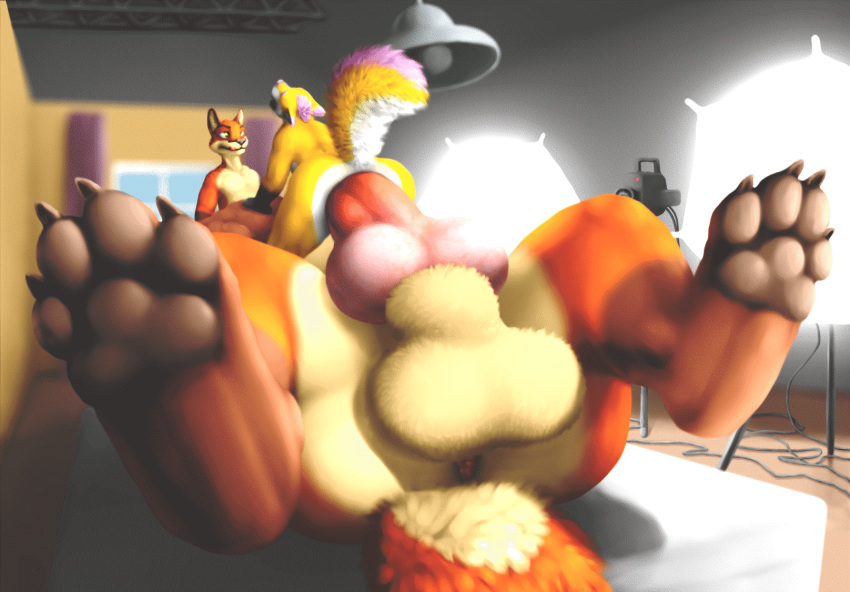 2021 4_toes all_fours anal anal_penetration anatomically_correct anatomically_correct_genitalia anatomically_correct_penis animal_genitalia animal_penis animated anthro anthro_on_taur anthro_on_top anthro_penetrated anus arm_support balls barely_visible_balls barely_visible_genitalia big_balls big_butt big_penis big_tail biped black_claws black_nose bouncing_balls brown_pawpads butt butt_focus camera canid canid_taur canine canine_penis canine_taur cheek_tuft claws compression_artifacts countershade_legs countershade_torso countershading cowgirl_position curtains detailed_background digital_drawing_(artwork) digital_media_(artwork) duo erection eyebrows facial_tuft feet fluffy fluffy_tail foot_focus fox fox_taur front_view fur fur_markings fur_tuft genitals gloves_(marking) hair hand_on_hand hand_on_paw head_tuft hi_res hindpaw huge_balls huge_penis hyper hyper_balls hyper_genitalia hyper_penis inner_ear_fluff inside knot levi_(character) licking licking_lips licking_own_lips lights looking_at_another looking_pleasured looking_up loop low-angle_view lying macro male male/male male_on_bottom male_on_top male_penetrated male_penetrating male_penetrating_male mammal mammal_taur markings mattress motion_tweening multicolored_body multicolored_fur multicolored_tail nude on_back on_bottom on_top open_mouth orange_body orange_fur pawpads paws penetration penis pink_anus pink_body pink_fur pink_hair pink_markings pink_nose pink_tuft quadruped raised_tail rear_view recording red_paws red_penis red_tongue rut secretden self_lick sex sheath short_hair short_playtime smile spread_anus spread_legs spreading tan_body tan_countershading tan_fur taur taur_on_bottom taur_penetrating taur_penetrating_anthro thrust thrusting toes tongue tongue_out tuft white_body white_countershading white_fur wide_hips window yellow_body yellow_fur