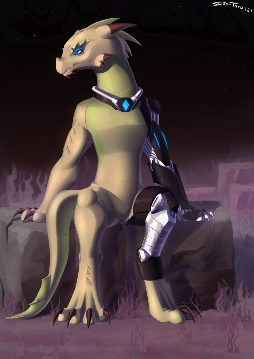 absurd_res alien_planet anthro collar cybernetic_arm cybernetic_leg cybernetic_limb cybernetics cyborg dragon fan_character hi_res looking_back machine shido-tara sitting space