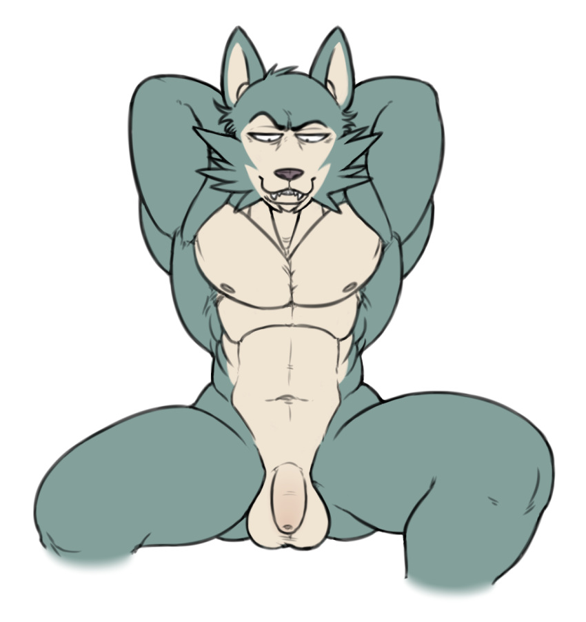 anthro balls beastars canid canine canis eccentricspider fur genitals grey_body grey_fur hands_behind_head hi_res humanoid legoshi_(beastars) looking_at_genitalia looking_down male mammal muscular muscular_male nude pecs penis simple_background sketch solo solo_focus tan_body tan_fur wolf