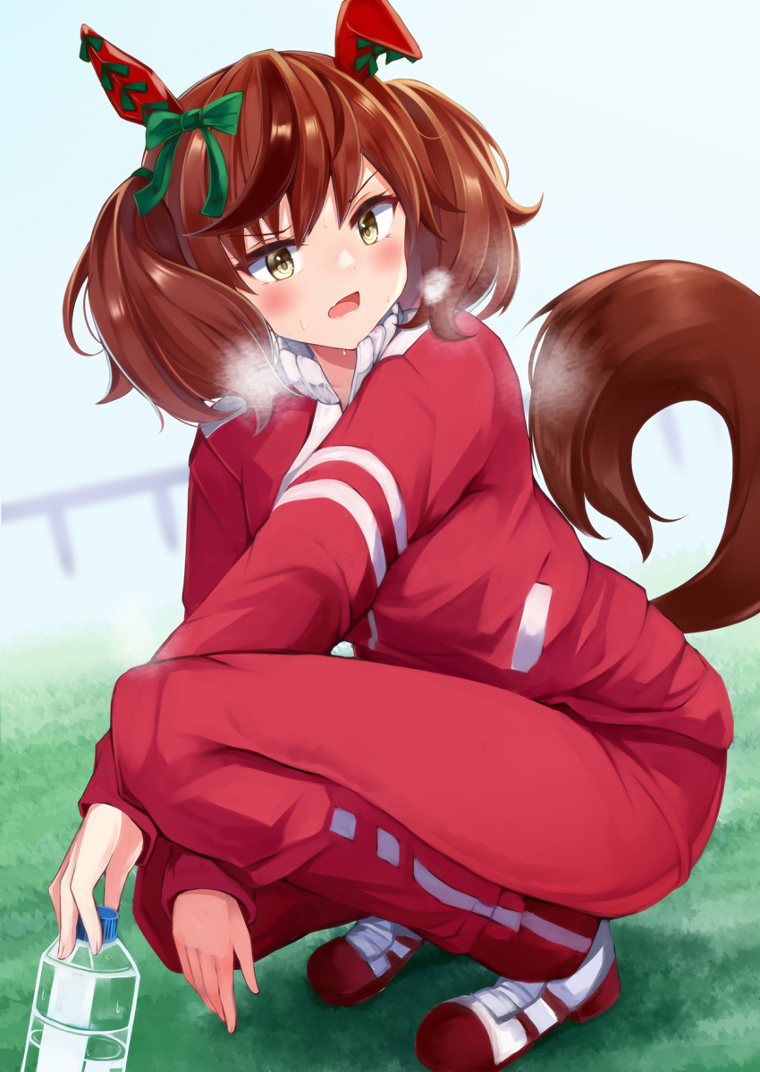 1girl animal_ears bangs blurry blurry_background blush bottle brown_eyes brown_hair commentary_request depth_of_field eyebrows_visible_through_hair hair_between_eyes heavy_breathing highres holding holding_bottle horse_ears horse_girl horse_tail irohasu jacket nice_nature open_mouth outdoors pants red_jacket red_pants shoes solo squatting sweat tail tail_raised track_jacket track_pants track_suit umamusume v-shaped_eyebrows white_footwear