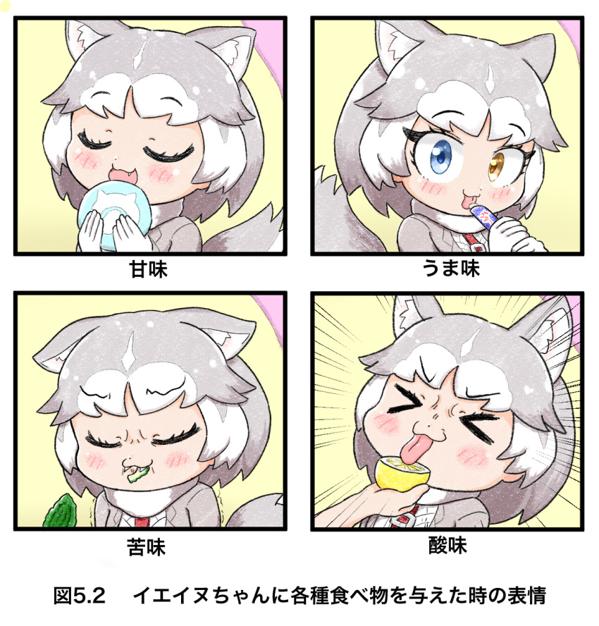 1girl animal_ear_fluff animal_ears blue_eyes blush commentary_request dog_(mixed_breed)_(kemono_friends) dog_ears dog_tail eating elbow_gloves fangs food fruit gloves grey_hair harness heterochromia highres japari_bun kemono_friends lemon licking nanachii_(nanatidayo) solo_focus tail tongue tongue_out translation_request