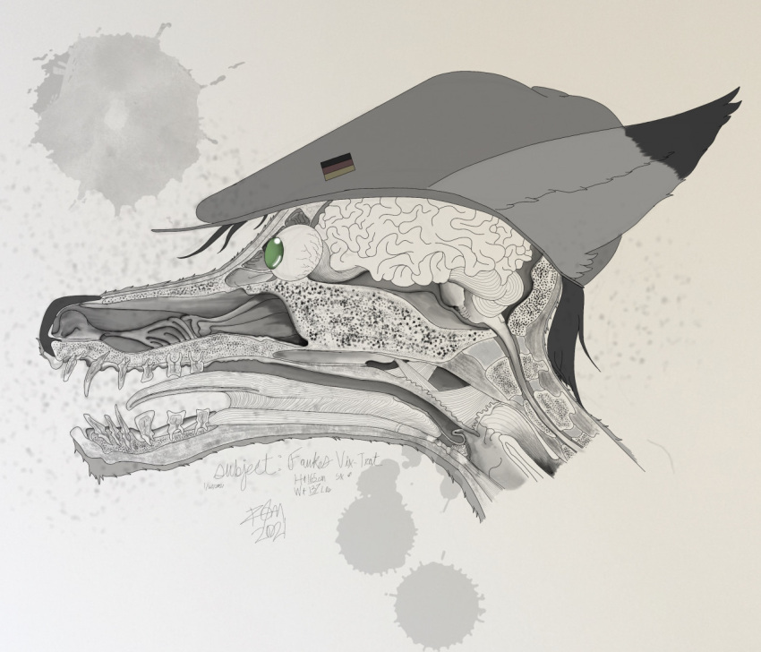 anatomically_correct anatomy anthro canid canine fawkesvixtrot fawkesvtrot fox gore male mammal medical solo