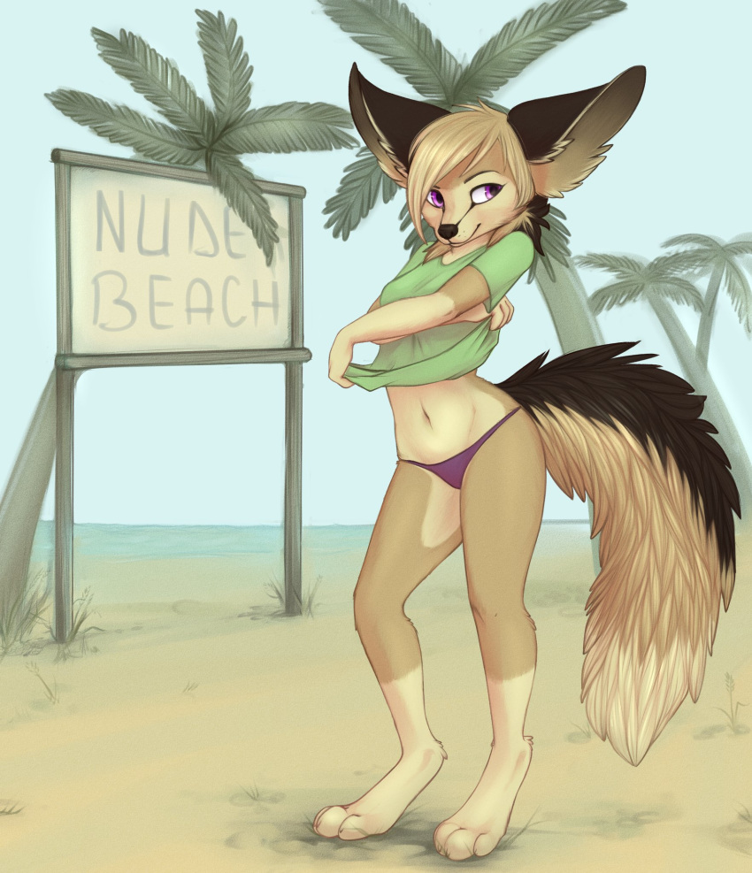 2020 anthro barefoot beach big_ears black_nose blonde_hair canid canine clothed clothing day detailed_background english_text female fennec fluffy fluffy_tail fox gloves_(marking) hair hi_res leg_markings mammal markings navel osiris_henschel outside palm_tree panties plant purple_eyes sand sea seaside sign sky socks_(marking) solo standing text tree underwear undressing water yshanii