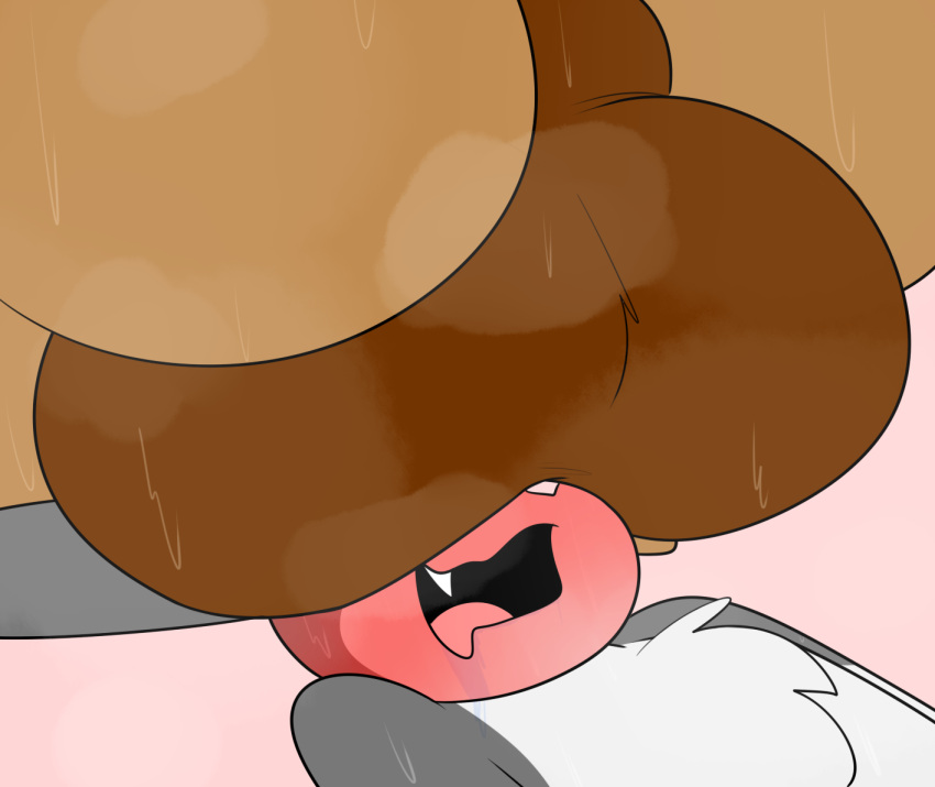 2021 ambiguous_species anthro anthro_on_anthro ball_tuft balls balls_on_face big_balls big_butt blush bodily_fluids brown_balls brown_body brown_fur brown_perineum butt chest_tuft drooling faceless_anthro faceless_male facesitting fangs fur genitals gradient_background grey_body grey_fur hare huge_balls huge_butt lagomorph leporid looking_pleasured lying male male/male male_on_bottom male_on_top mammal meme mr_rottson musk nude on_back on_bottom on_top open_mouth perineum pink_background pink_nose rotto_(mrrottson) saliva simple_background smile sweat sweaty_balls sweaty_genitalia tan_body tan_fur these_aren't_my_glasses tuft white_body white_fur