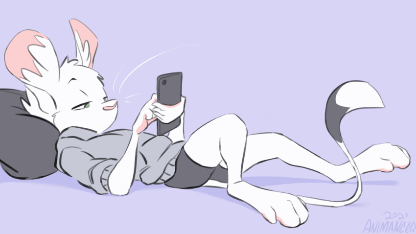 animancer animated anthro cellphone clothing dipodid fur hair holding_object hoodie jerboa luck male mammal me_time paws phone relaxing rodent scrolling short_playtime simple_background solo tail_flick topwear