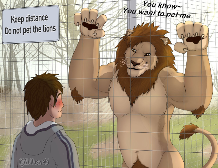 against_fence anthro black_pawpads blush brown_body brown_eyes brown_fur cage caged claws clothed clothing duo english_text felid fence fur hoodie human larger_anthro larger_male lion male mammal mane musclegut muscular muscular_male nude outside pantherine pawpads pubes redraw size_difference smaller_human smaller_male smile tail_tuft text topwear tuft whiskers wulfusweid