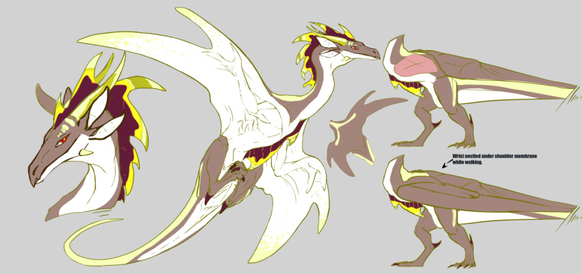 4_ears alien ambiguous_gender biped claws dragon fan_character feral fin gold_scales horn marine model_sheet multi_ear pupils red_body red_eyes red_scales scales scalie slit_pupils solo spread_wings stratalustrix stratalustrix_prime_(sekr) velannal video_games warframe wings wyvern yellow_body yellow_scales