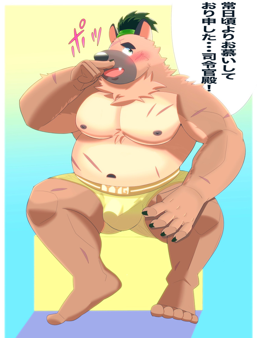2021 anthro belly blush brown_body brown_fur canid canine canis clothing domestic_dog fur hi_res japanese_text kemono male mammal moobs navel nipples overweight overweight_male sitting solo text tinhotarou tokyo_afterschool_summoners underwear video_games yasuyori