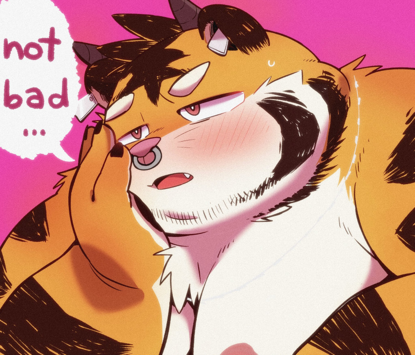 2021 anthro beard english_text facial_hair felid hi_res kemono male mammal moobs nipples overweight overweight_male pantherine pink_nose portrait solo text tiger uokkom