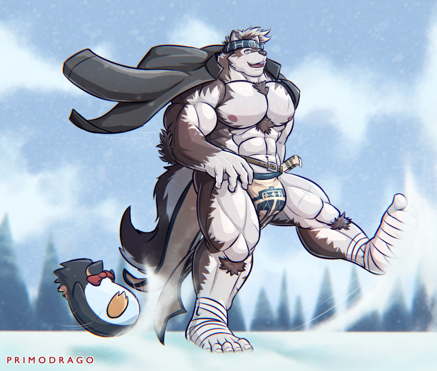 2018 5_fingers 5_toes anthro avian bandage bird body_hair brown_wolf bulge canine chest_hair clothed clothing duo hi_res horkeukamui jacket loincloth male mammal muscular muscular_male open_mouth orange_eyes outside penguin primodrago smile snow toes tokyo_afterschool_summoners video_games walking wolf