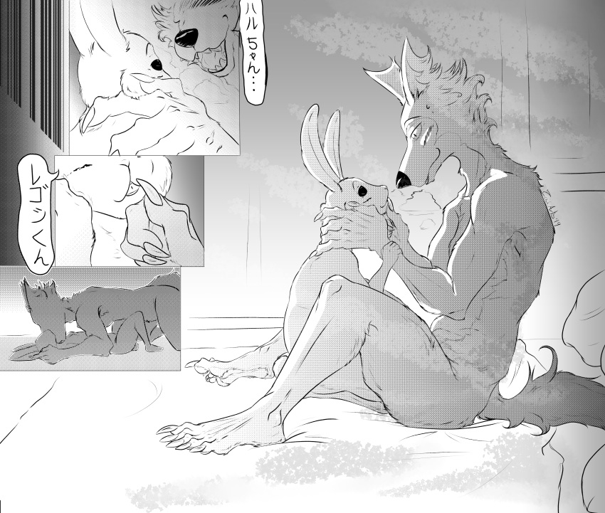 2019 5_fingers 5_toes absurd_res all_fours anthro athletic athletic_anthro athletic_male beastars bed black_and_white butt canid canine canis claws dialogue domestic_rabbit duo dwarf_rabbit eye_contact eyes_closed feet female finger_claws fingers fur furniture hand_on_face haru_(beastars) hi_res hotel hotel_room humanoid_feet humanoid_hands imminent_sex interspecies japanese_text kneeling lagomorph larger_male legoshi_(beastars) leporid looking_at_another looking_at_partner lying lying_on_bed male male/female mammal monochrome nude on_back on_bed open_mouth oryctolagus predator/prey rabbit romantic_ambiance romantic_couple sitting sitting_on_bed size_difference smaller_female smile speech_bubble taiarts teeth text toe_claws toes translated wolf wrist_grab