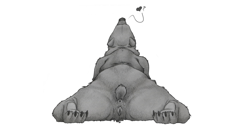 absurd_res animal_genitalia animal_pussy anus butt female feral genitals graphite_(artwork) hi_res lying lying_on_ground mammal monochrome on_front paramour-art pencil_(artwork) presenting presenting_anus presenting_hindquarters presenting_pussy pussy shaded simple_background sketch solo spread_legs spreading traditional_media_(artwork) ursid ursine ursine_pussy white_background