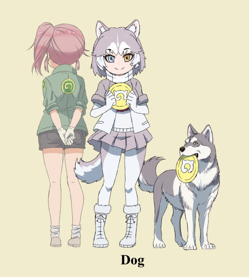 2girls animal_ears beige_background black_shorts blue_eyes bob_cut boots commentary_request cross-laced_footwear dog dog_(kemono_friends) dog_ears dog_tail elbow_gloves english_text eyebrows_visible_through_hair facing_away frisbee fur-trimmed_boots fur_trim gloves green_jacket grey_footwear grey_jacket grey_legwear grey_skirt hands_together heterochromia highres holding husky jacket japari_symbol kemono_friends lace-up_boots medium_hair miniskirt multiple_girls namesake nana_(kemono_friends) open_clothes open_jacket pantyhose pink_hair pleated_skirt print_jacket scarf shoes short_hair short_sleeves shorts side_ponytail sidelocks simple_background skirt socks straight-laced_footwear tail white_footwear white_gloves white_legwear white_scarf yamaguchi_yoshimi yellow_eyes