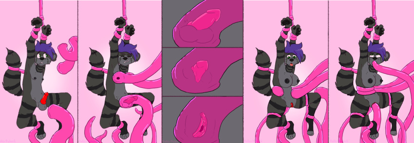 absurd_res ahegao anal anal_penetration anthro black_body black_fur bound breast_growth breasts breath close-up comic deep_throat female female_penetrated fur gender_transformation genitals growth hair hi_res hyaenid knot looking_pleasured male mammal nipples oral panting penetration penis penis_shrinking pink_tentacles purple_hair pussy questionable_consent rollerrobert sequence small_waist solo solo_focus spread_legs spreading surprise suspension tentacles transformation waist_grab