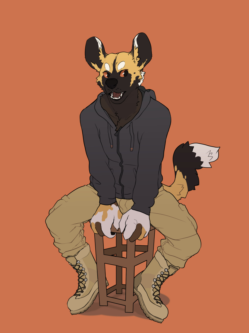 absurd_res african_wild_dog anthro big_ears big_fingers big_hands black_nose boots bottomwear canid canine cargo_pants chest_tuft clothing fari_paredes fluffy fluffy_tail footwear fur_pattern furniture hi_res hoodie looking_away male mammal open_mouth orange_eyes pants paperclip_(artist) sitting solo stool teeth topwear tuft